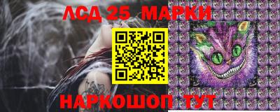 ПСИЛОЦИБИНОВЫЕ ГРИБЫ Будённовск