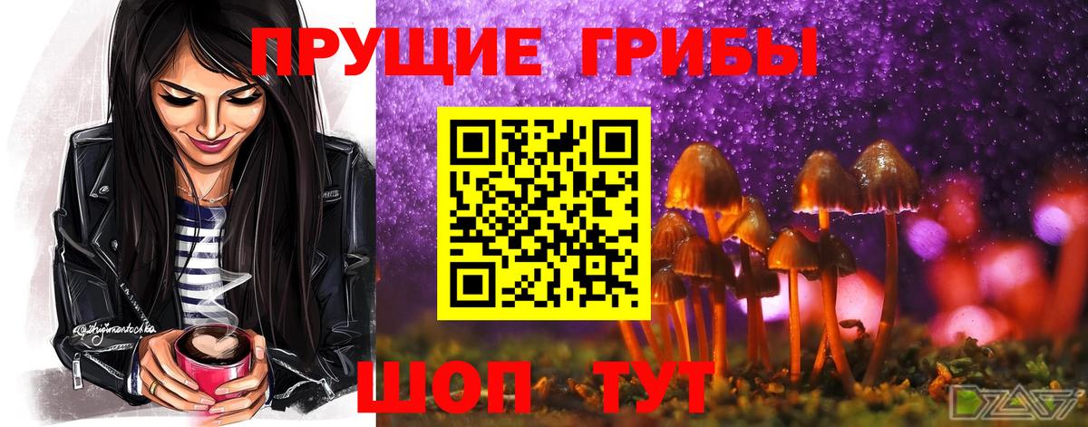 Галлюциногенные грибы GOLDEN TEACHER Кострома